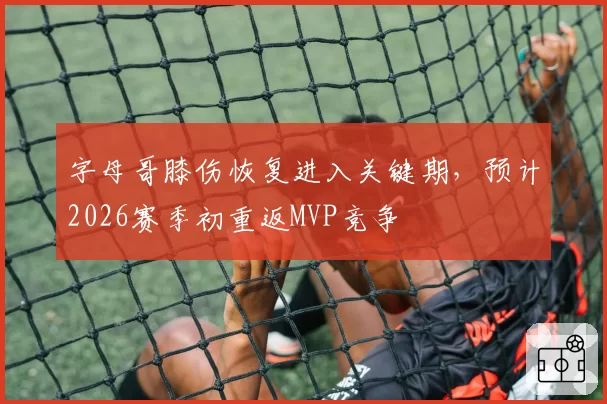 字母哥膝伤恢复进入关键期，预计2026赛季初重返MVP竞争