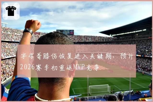 字母哥膝伤恢复进入关键期，预计2026赛季初重返MVP竞争